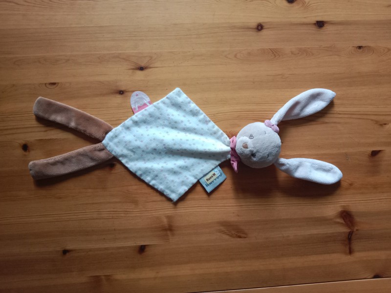 Petit lapin plat