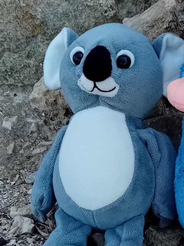 Doudou perdu