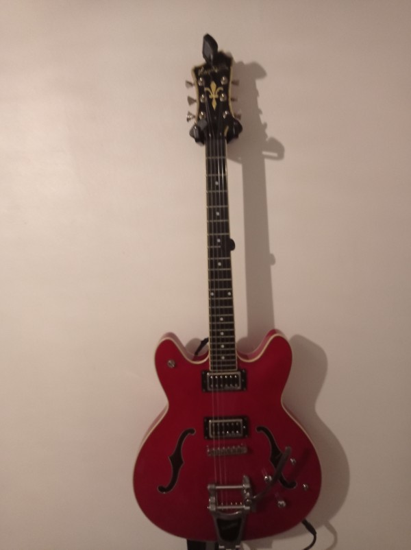 Guitare rouge disparue RER A