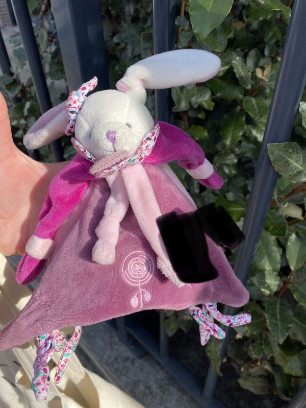 Doudou Lapinette trouvée à Eragny sur Oise 95