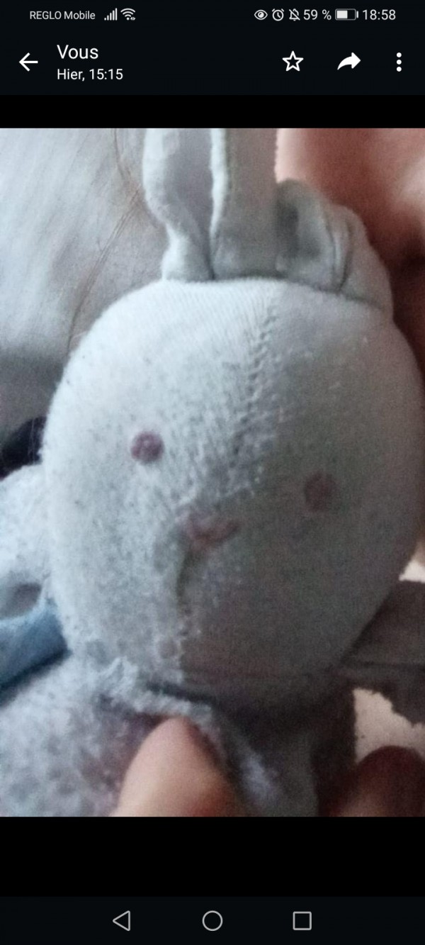 Doudou lapin très vieux, autoroute peage entre yvetot et neville