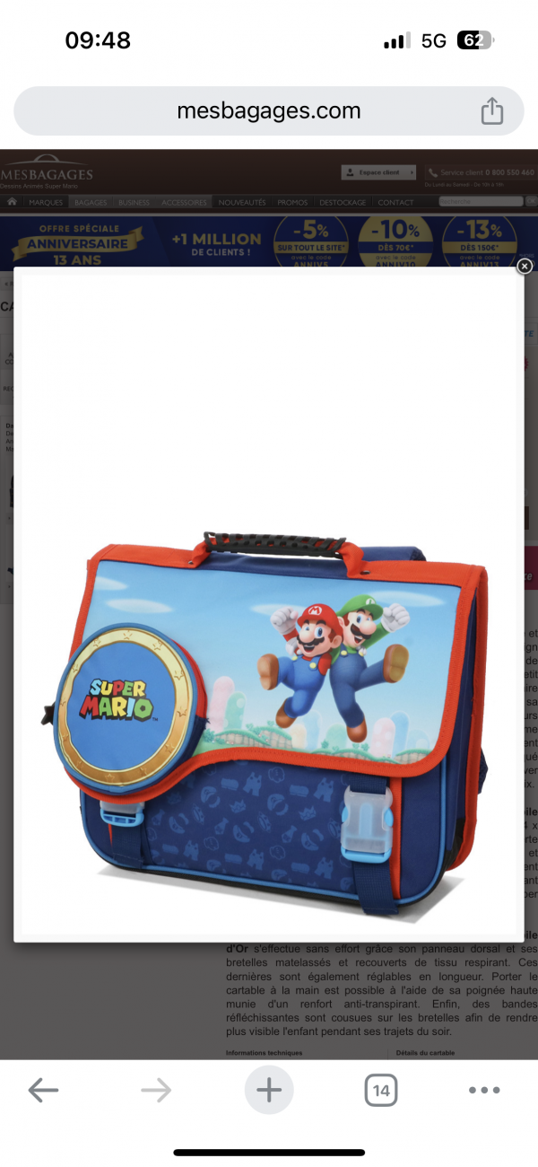 Sac Mario perdu