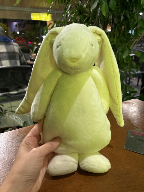 Doudou lapin blanc perdu Nancy