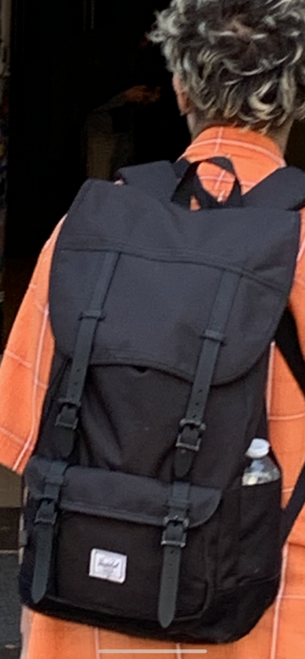Sac à dos noir volé à Gare de Lyon, Voie L