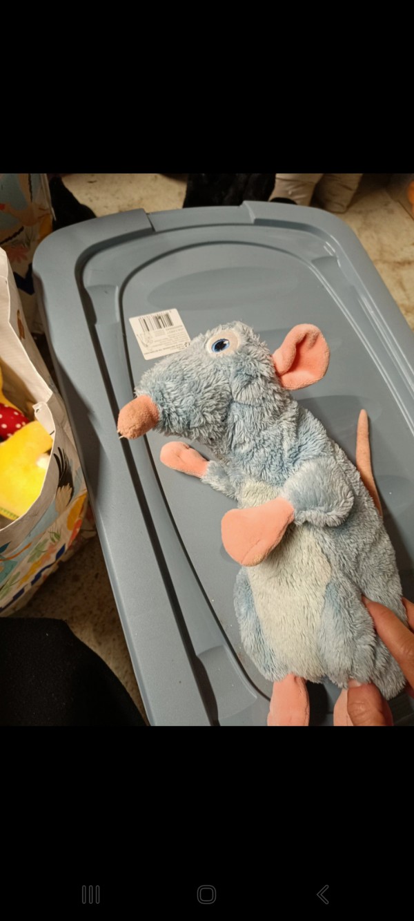 Perdu doudou ratatouille