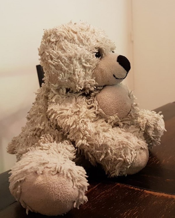 Nounours perdu métro ligne 14 ou Paris 75013 près métro Olympiades