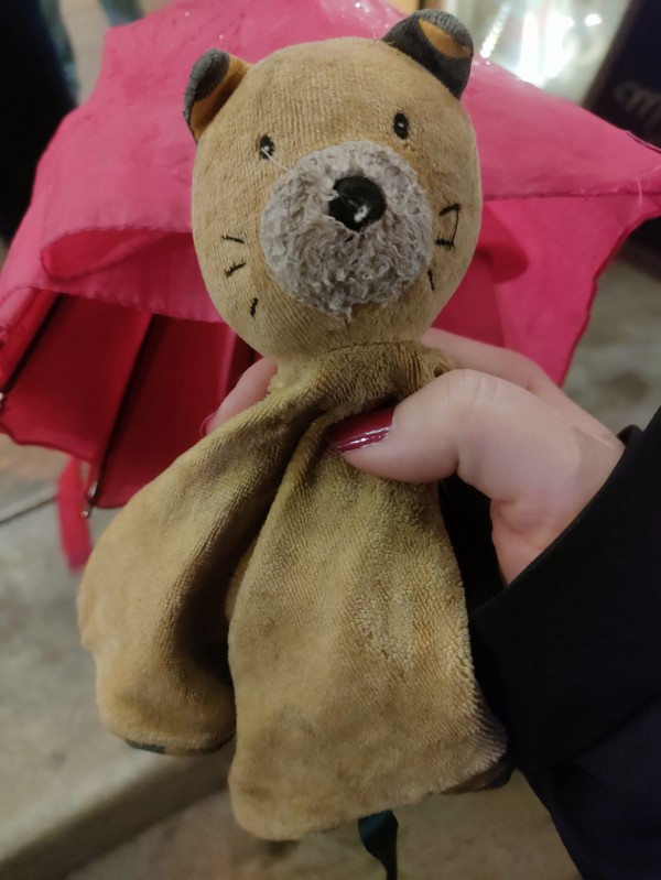 Doudou perdu à la Fête des lumières place Saint Jean Lyon