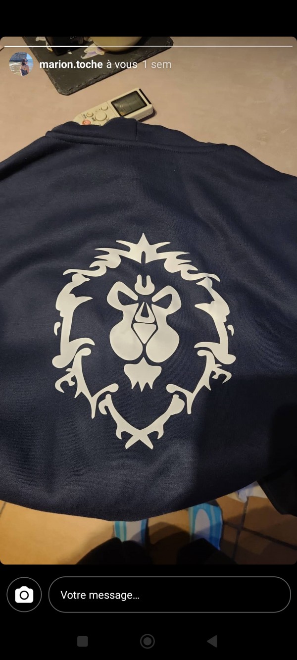 Pull personnalisé avec un lion dans le dos