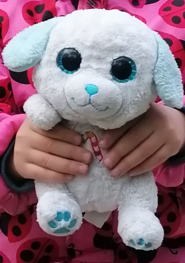 Peluche Chien perdu