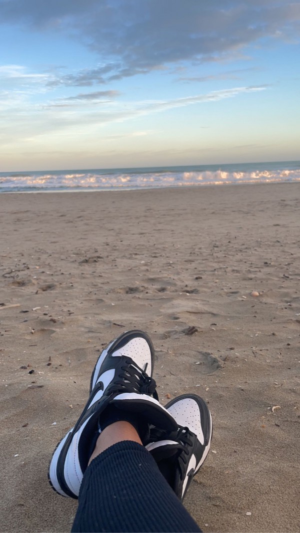 Chaussure Nike dunk