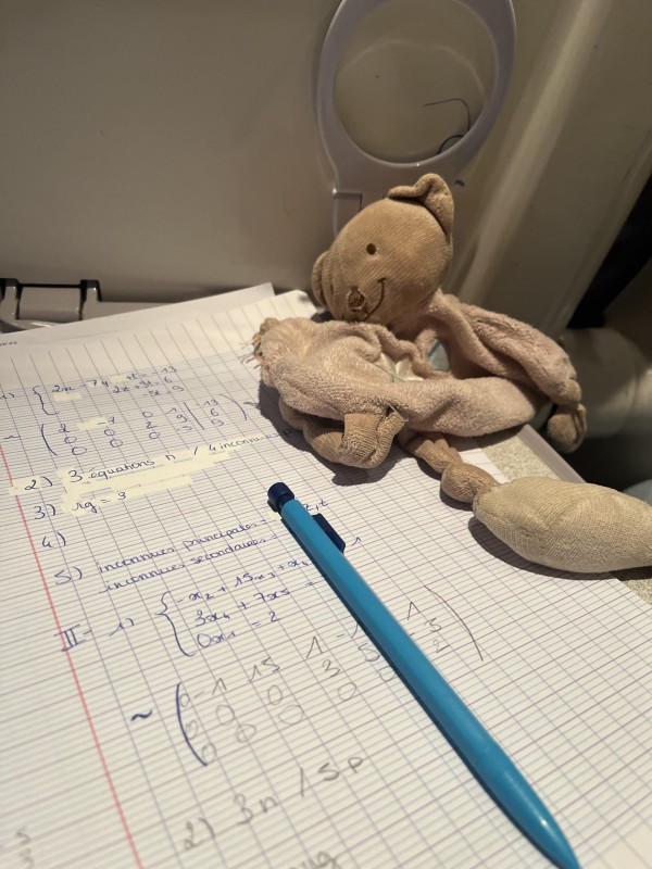 Doudou perdu train