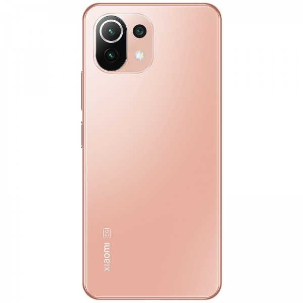 Xiaomi 11 Lite 5G NE volé à Valence