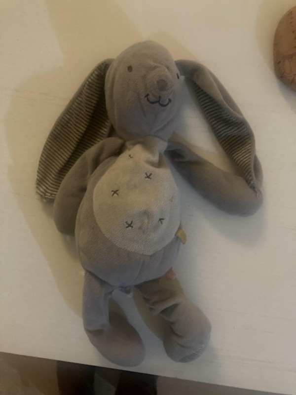Perdu doudou lapin gris urgent