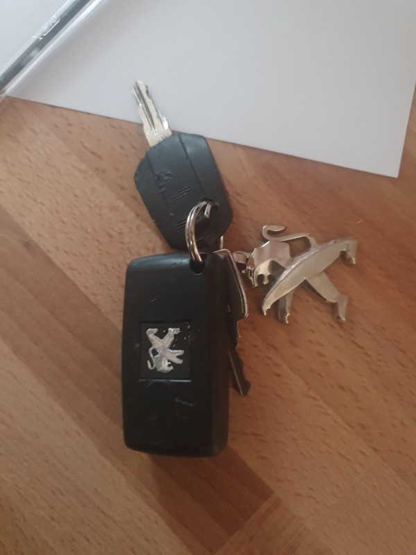Cle peugeot trouve quartier des danjons