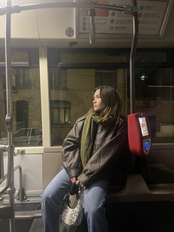 Lille République/ The room. J ai perdu (ou ete volée) un sac imprimé python avec mes clefs dedans et mon portefeuille qui contient toutes mes cartes (identié, bleue, vitale ...)au nom d Elise Frayssé