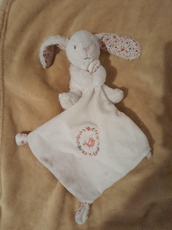 Doudou lapin blanc trouvé