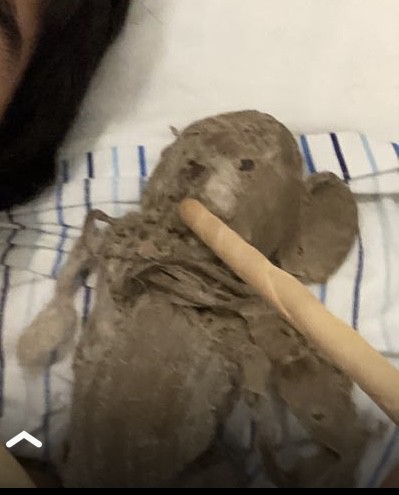 Doudou ours abimé