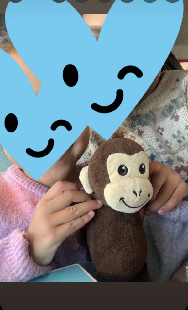 Doudou singe