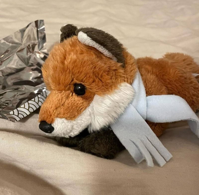 Peluche renard volé dans un sac à dos à la Gare de l'Est, Paris 75010