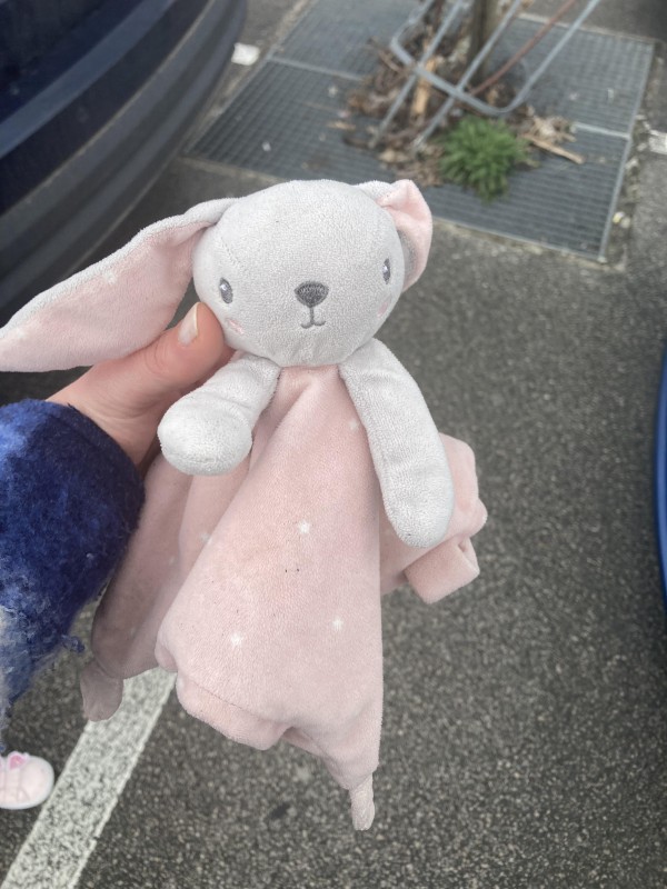Trouve doudou rose et gris