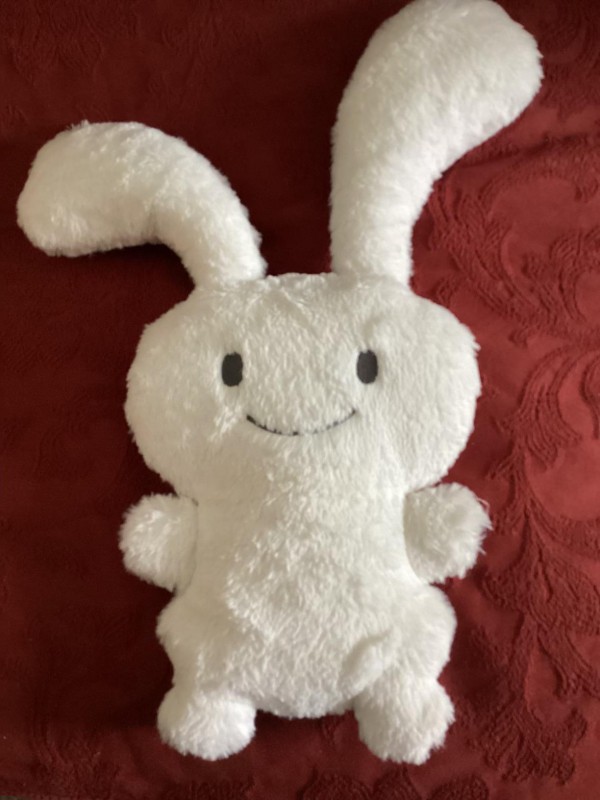 Perdu doudou suite au vol de nos valises sur Lyon