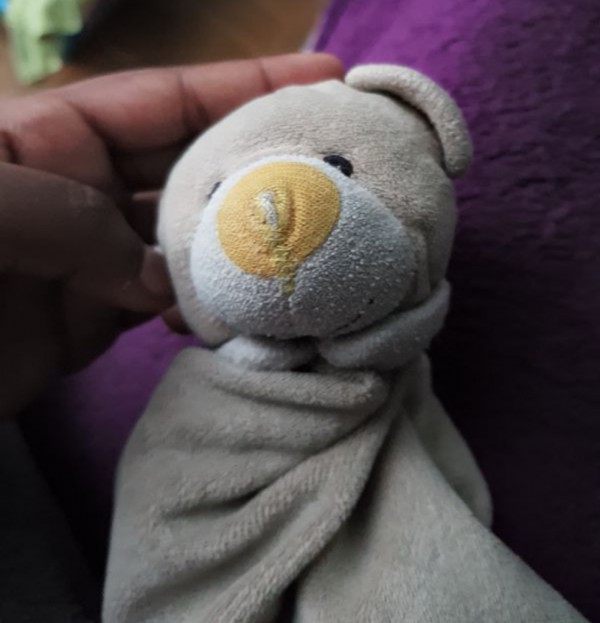 Doudou oublié dans un rbnb à choisi le roi