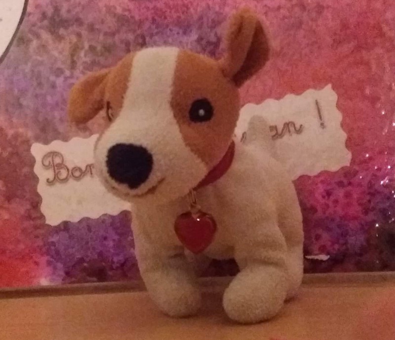 Peluche chien perdue