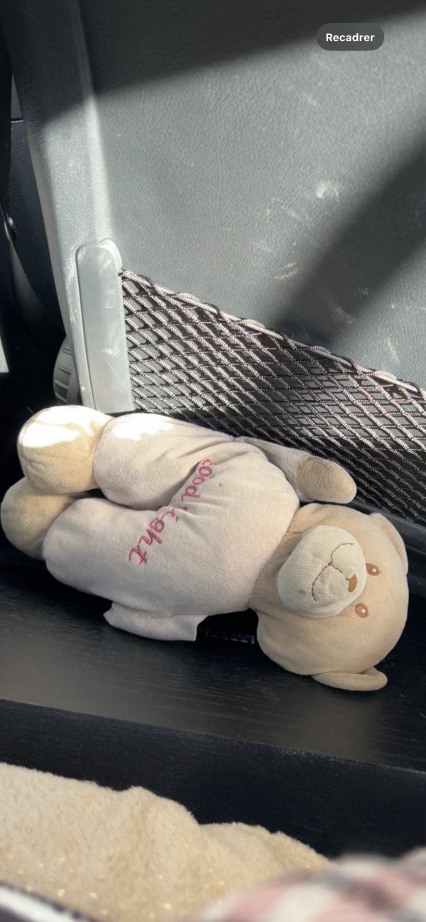 Ours en peluche