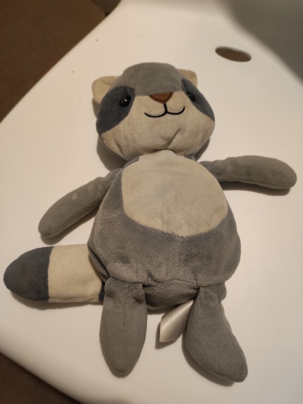 Doudou chat arrêt Aristide Briand Strasbourg