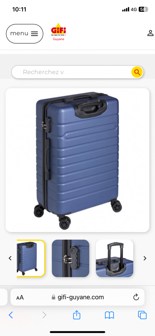 Valise bleu marine oublié dans le TER 876407