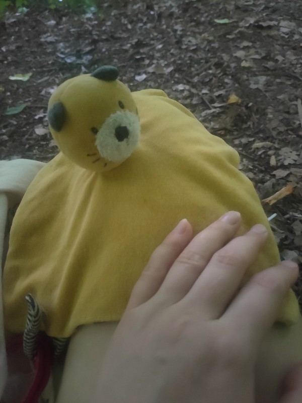 Petit doudou chiffon brodé perdu dans le parc de la tête d'or