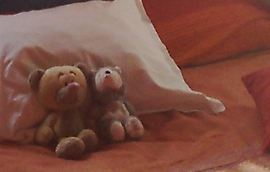PERDU OURS ME TO YOU