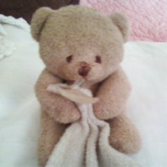 perdu doudou petit ours